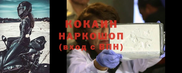 хмурый Белокуриха