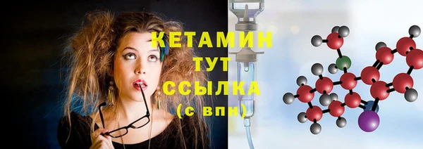 хмурый Белокуриха