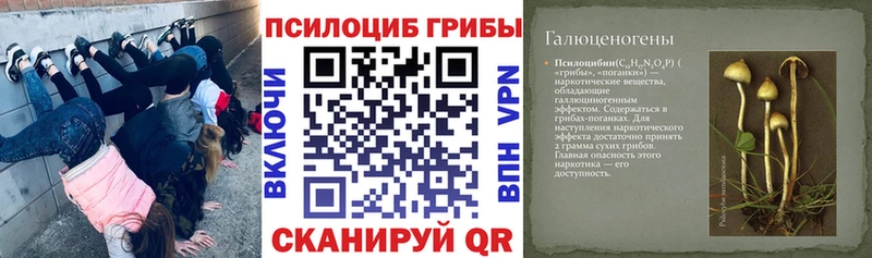 Галлюциногенные грибы прущие грибы  Купить закладки  Аркадак 